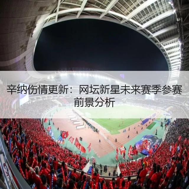 辛纳伤情更新：网坛新星未来赛季参赛前景分析